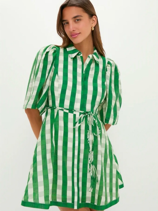 Tuckernuck Dresses & Skirts - Tuckernuck Green Gingham Cindy Mini Dress - Green Gingham Size XL NWT